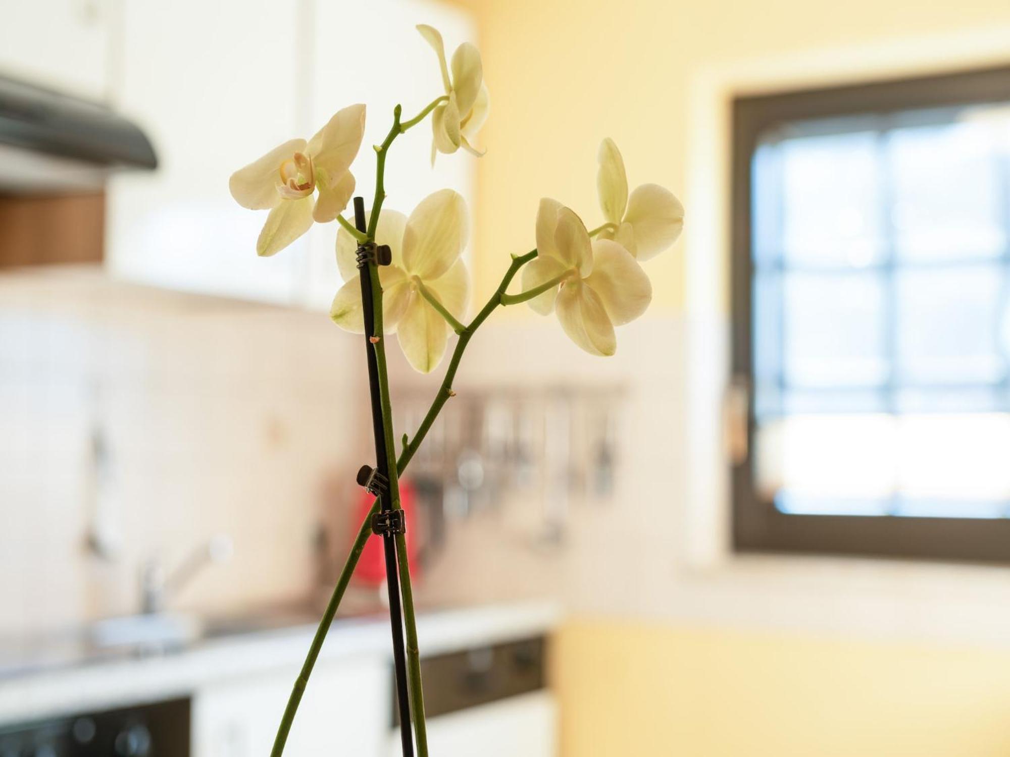 A Modern Apartment In The Hunsr Ck Region S Romantic Drohn Valley Merschbach Екстер'єр фото